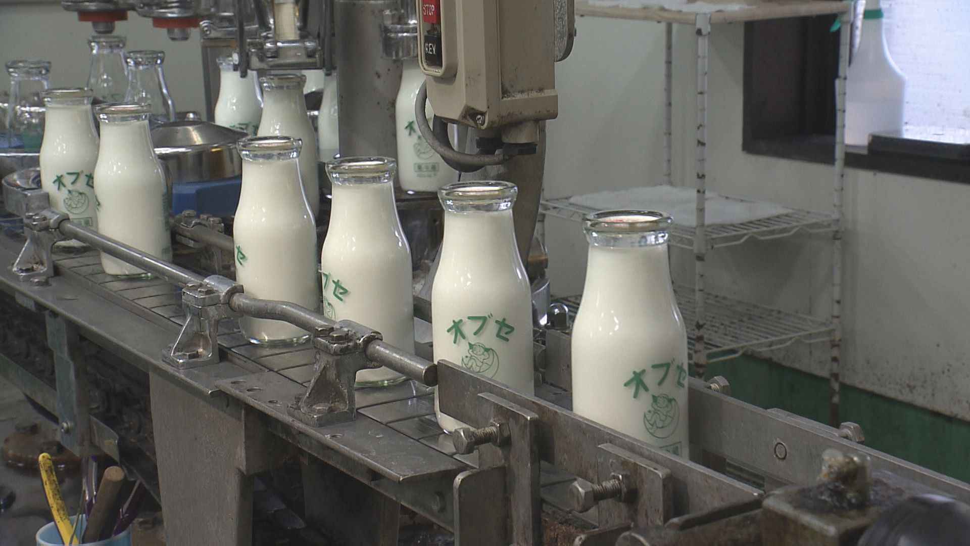 オブセ牛乳の特徴