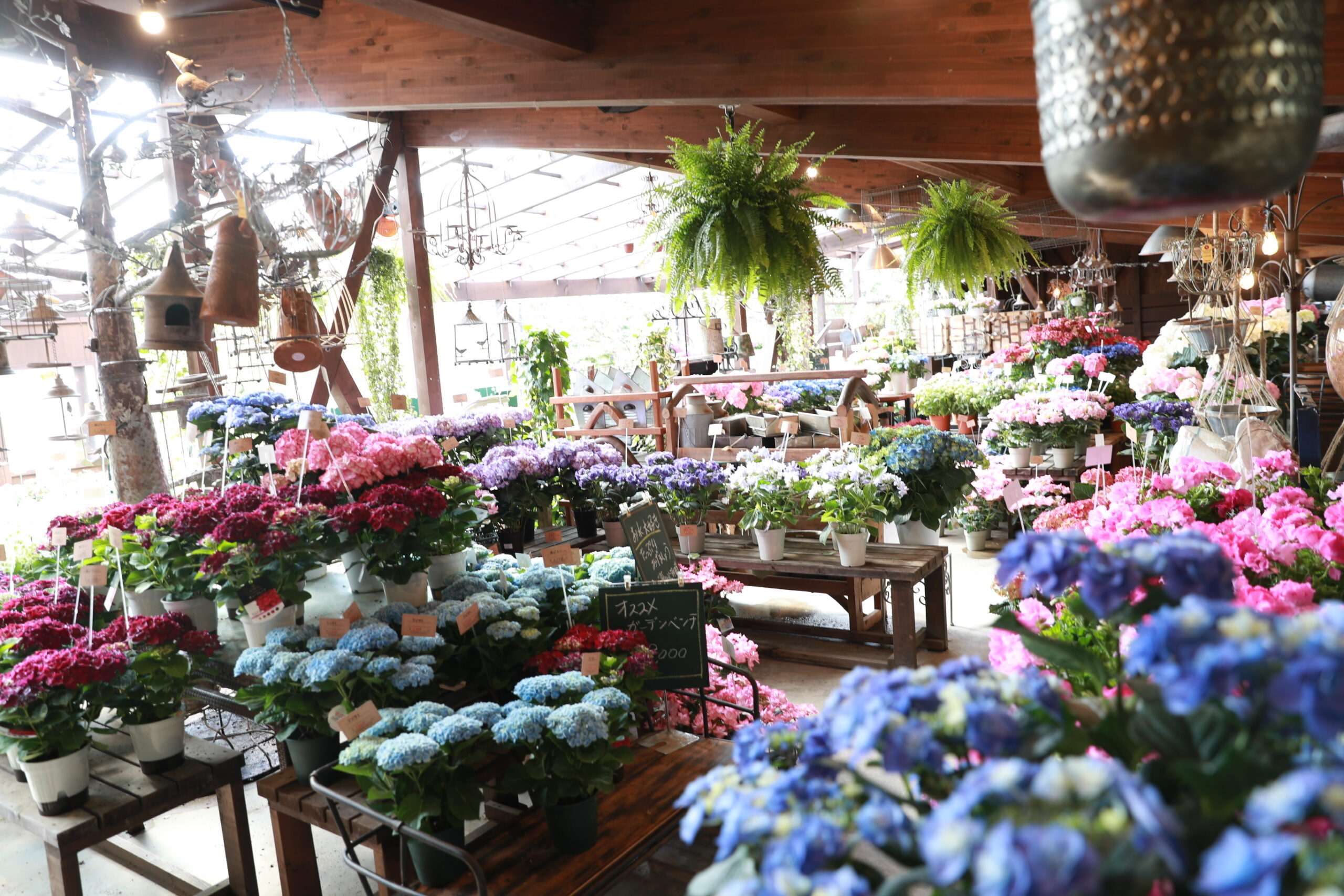 お客さまへの約束 「生活の一部に花を」