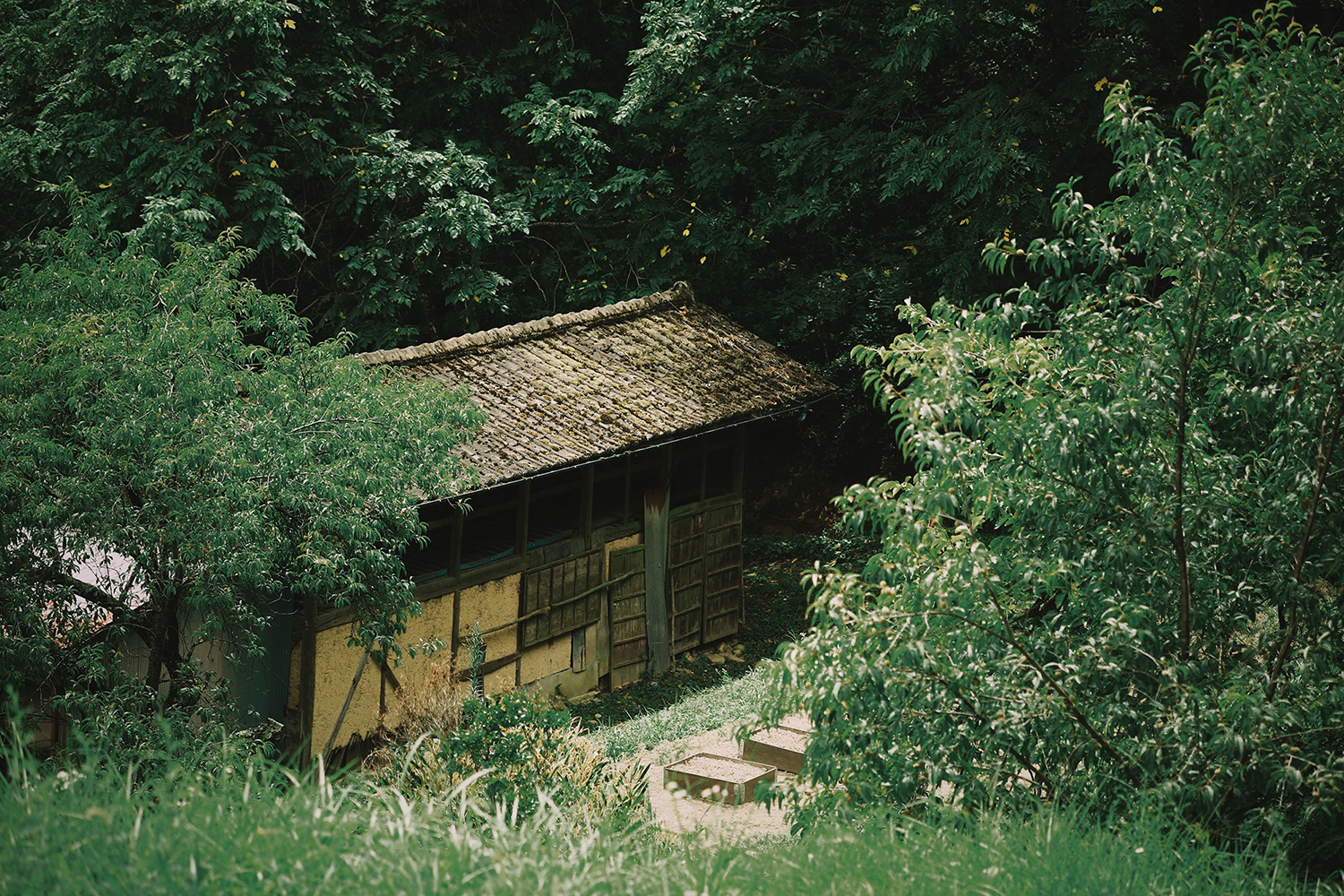 醸造所(改築前)