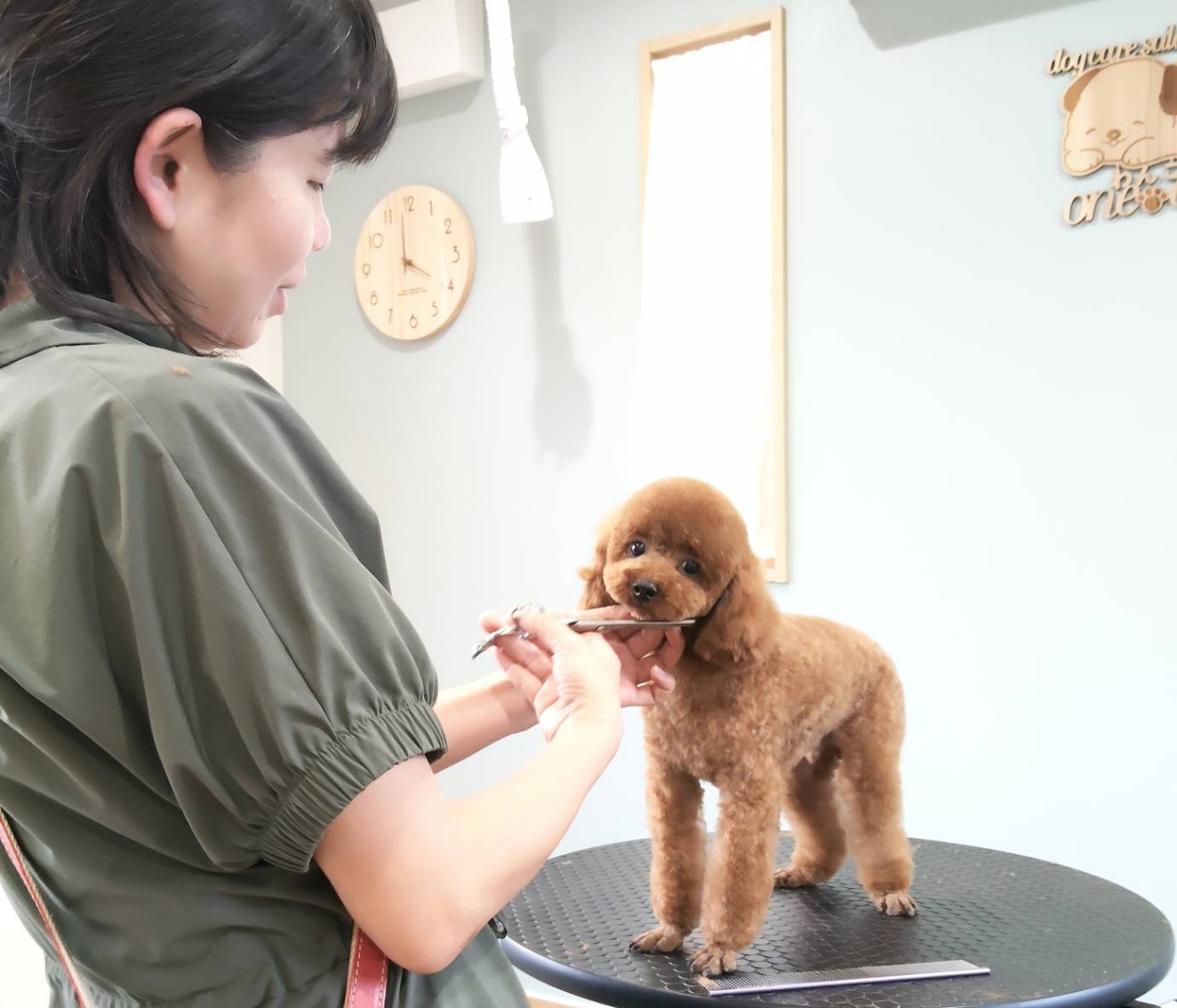 大切な家族をキレイに可愛く仕上げます