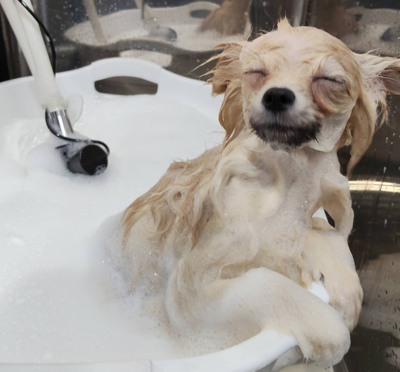 安心してくつろげる癒しの時間